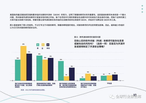 開源軟件網(wǎng)絡(luò)安全挑戰(zhàn)與安全軟件開發(fā)策略